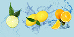 Сlipart freshness fruits lemon orange water   BillionPhotos