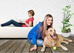 Сlipart pet family dog floor daughter   BillionPhotos