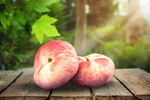 Сlipart peach slice autumn background clipping path   BillionPhotos