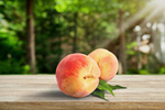 Сlipart peach slice autumn background clipping path   BillionPhotos