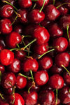 Сlipart cherry fruit red background juicy   BillionPhotos