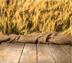 Сlipart Wheat Field Crop Harvesting Farm   BillionPhotos