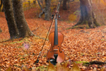 Сlipart violin forest background design people   BillionPhotos