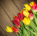 Сlipart day mother flower girly background   BillionPhotos