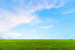 Сlipart grass field blue cloud countryside   BillionPhotos