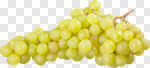 Сlipart Grape Red Grape Isolated Bunch Black photo cut out BillionPhotos