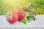 Сlipart tomato background white above agriculture   BillionPhotos
