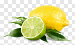Сlipart Lemon Lime Citrus Fruit Portion Blossom photo cut out BillionPhotos