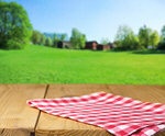 Сlipart checked outdoor tablecloth page meadow   BillionPhotos