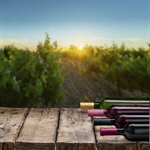 Сlipart Wine Bottle Wine Bottle Red Wine Isolated   BillionPhotos