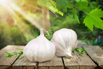 Сlipart garlic top view aroma aromatic   BillionPhotos
