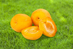 Сlipart Apricot Fruit Freshness Portion Healthy Lifestyle   BillionPhotos