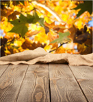 Сlipart garden shelf wooden sill farm   BillionPhotos
