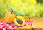 Сlipart apricot agriculture background bowl delicious   BillionPhotos