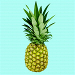 Сlipart Pineapple Fruit Leaf Food Full Length   BillionPhotos