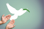 Сlipart peace dove hands symbol flying   BillionPhotos