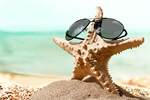 Сlipart Sunglasses Starfish Beach Shell Summer   BillionPhotos