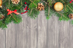 Сlipart Christmas concept background banner berry border   BillionPhotos