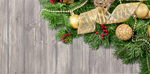 Сlipart Christmas concept background banner berry border   BillionPhotos
