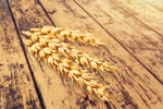 Сlipart wheat background white 3 agriculture   BillionPhotos