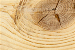 Сlipart wood background pine timber lumber photo  BillionPhotos