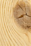 Сlipart wood background pine timber lumber photo  BillionPhotos