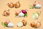 Сlipart Onion Vegetable Yellow Freshness Gold   BillionPhotos