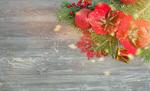 Сlipart Christmas concept background banner berry border   BillionPhotos