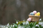 Сlipart easter basket sunlight background family photo  BillionPhotos
