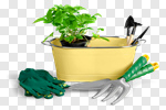 Сlipart gardening garden tree pot plant photo cut out BillionPhotos