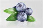 Сlipart blueberry fruit heap vegetarian ripe   BillionPhotos