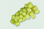 Сlipart grapes white background berry closeup   BillionPhotos