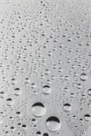 Сlipart Drop Water Rain Raindrop Glass photo  BillionPhotos