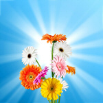 Сlipart flower dia dead skull banner   BillionPhotos