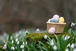 Сlipart easter basket sunlight background family photo  BillionPhotos