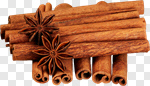 Сlipart Cinnamon Spice Christmas Anise Star Anise photo cut out BillionPhotos
