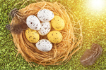 Сlipart easter background egg spring happy   BillionPhotos