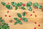 Сlipart holly christmas xmas beautiful berry   BillionPhotos
