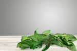 Сlipart mint white element leaves spearmint   BillionPhotos