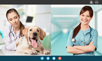 Сlipart virtual quarantine answer call app display application computer   BillionPhotos