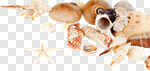 Сlipart Shell Beach Sand Starfish Frame photo cut out BillionPhotos