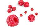 Сlipart raspberry background berry berrys bright   BillionPhotos