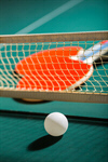 Сlipart Table Tennis Table Table Tennis Racket Sport Outdoors photo  BillionPhotos