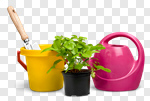 Сlipart Gardening Gardening Equipment Plant Potted Plant Isolated photo cut out BillionPhotos
