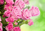 Сlipart Rose Flower Valentine's Day Bouquet Backgrounds   BillionPhotos