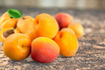 Сlipart apricots agriculture apricot background berries   BillionPhotos