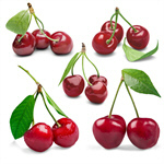 Сlipart cherries cherry sour set dessert   BillionPhotos