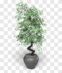 Сlipart Door Front Door House Wood Residential Structure 3d cut out BillionPhotos