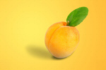 Сlipart peach apricot background clipping closeup   BillionPhotos