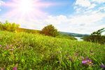 Сlipart Spring landscape spring landscape sun morning photo  BillionPhotos